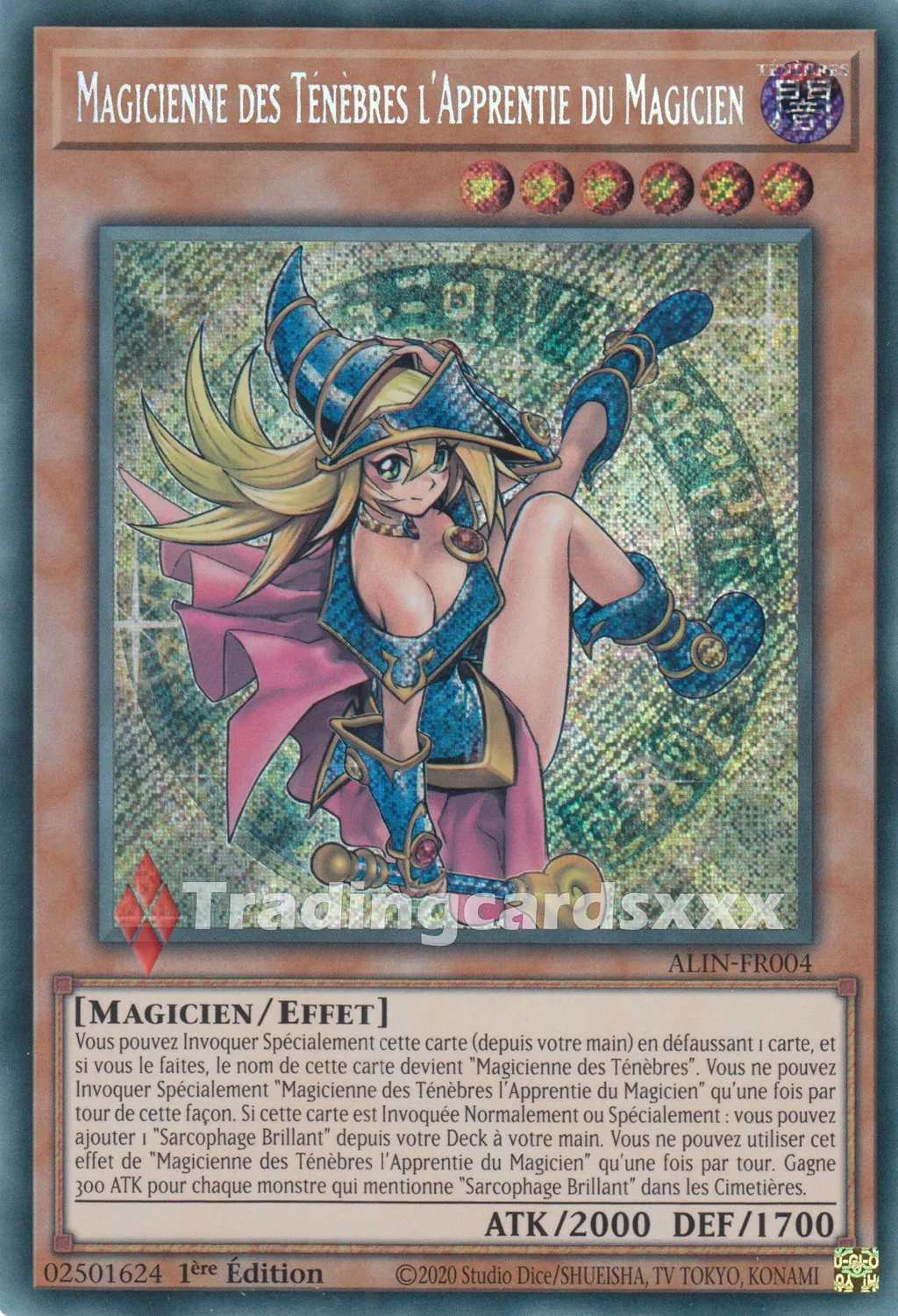 Yu-Gi-Oh! Intuition d’Alliance Magicienne des Ténèbres Apprentie ALIN-FR004 carte