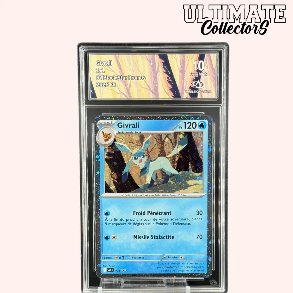 Hikaru Distribution SV Black Star Promos Givrali 171 carte promo française