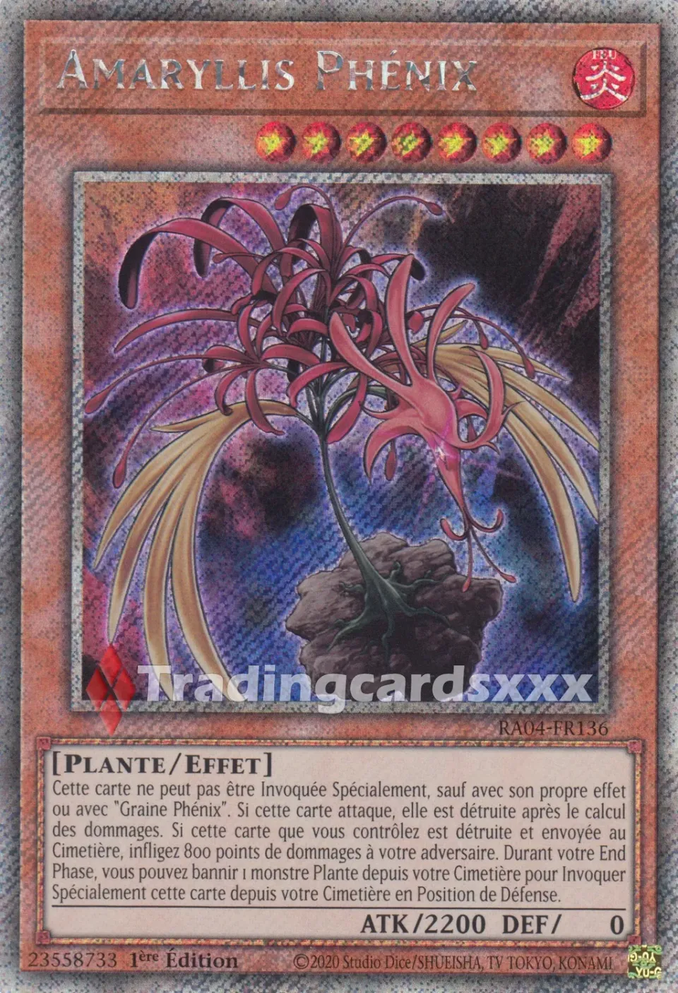 Yu-Gi-Oh! Amaryllis Phénix RA04-FR136 carte française